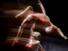 Body Worlds