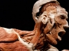 Body Worlds