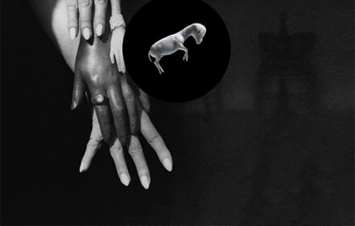 In anteprima per RS "Barragán", il nono disco dei Blonde Redhead