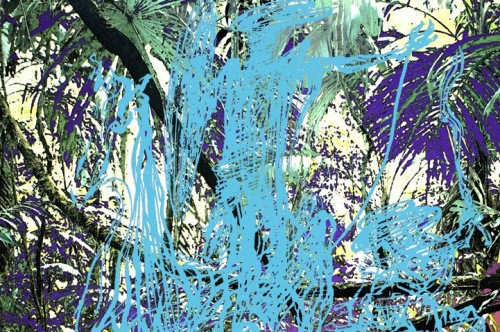 The Don Kixote cover