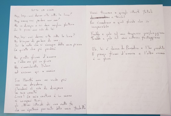 Il testo di "Sotto la luna", una delle canzoni dell'ultimo album "Pansonica", scritto a mano da Cristiano Godano