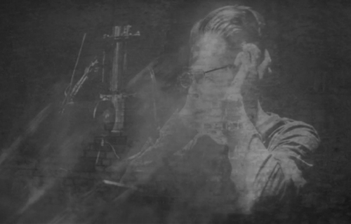 Davi Bowie Sue or in a season crime