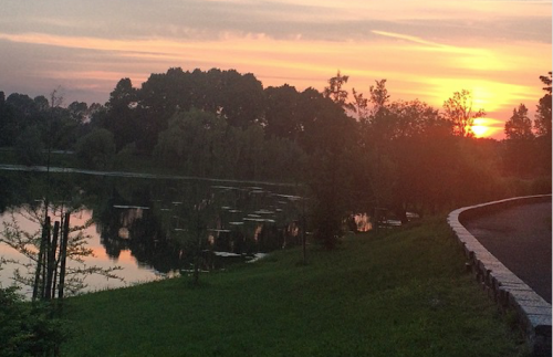 Il parco Forlanini è dove si tiene da anni la Festa della Musica a Milano. Foto: Facebook