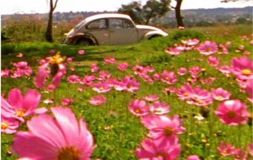 Escarabajo (2005) - Foto di Damián Ortega - Courtesy the artist and kurimanzutto, Mexico City