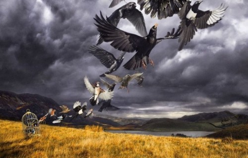 L'artwork di "Rattle that lock", il nuovo album di David Gilmour è stato realizzato da Dave Stansbie di The Creative Corporation