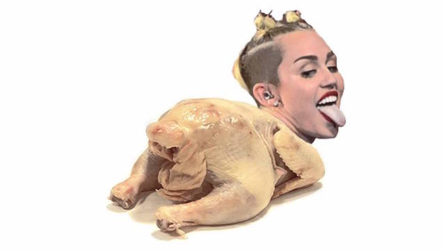 miley pollo
