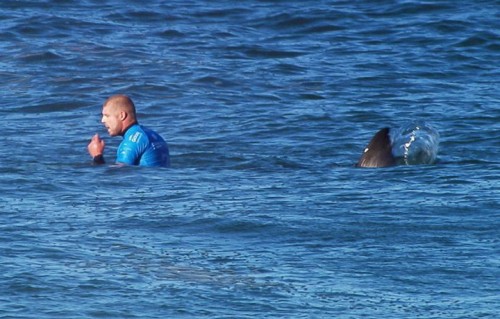 Mick Fanning nel momento in cui se l'è vista brutta.