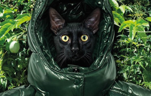 Una foto tratta da ART FOR LOVE di Brigitte Lacombe