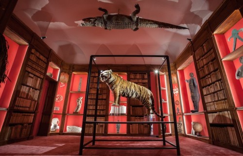 Una vista della wunderkammer di Theatrum Mundi di Arezzo