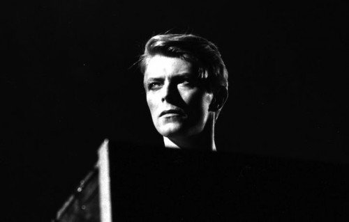 David Bowie nel 1978. Foto di Evening Standard/Getty Images