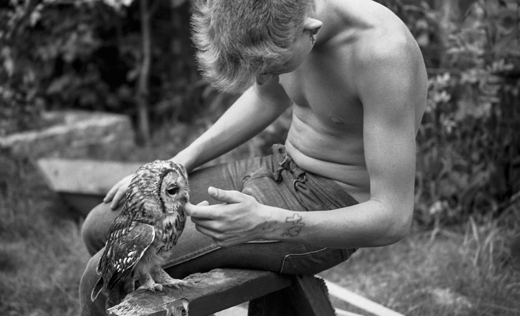 Gavin Watson/ YOUTH CLUB - Owl, High Wycombe, 1980s