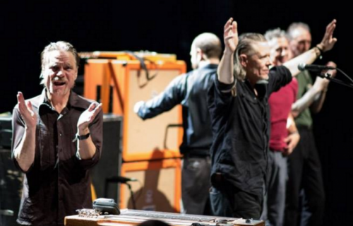 Swans. Foto: Facebook