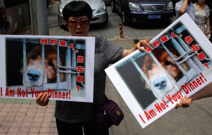 Una manifestante a Yulin contro il Festival della carne di cane, foto Reuters/Kim Kyung-Hoon