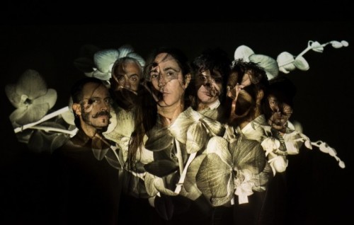 Afterhours - Foto di Ilaria Magliocchetti