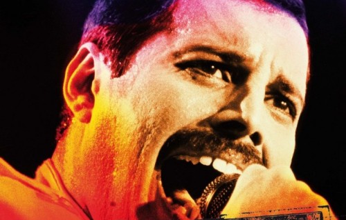 Un dettaglio della copertina di "Freddie Mercury" il nuovo capitolo della storia del rock, il quarto, appena pubblicato da Hoepli e scritto da Luca Garrò. La prefazione è di Cesare Cremonini