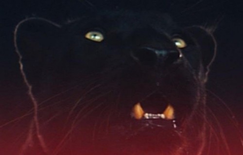 The Weeknd - M A N I A