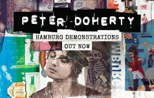 Pete Doherty, Hamburg Demonstrations