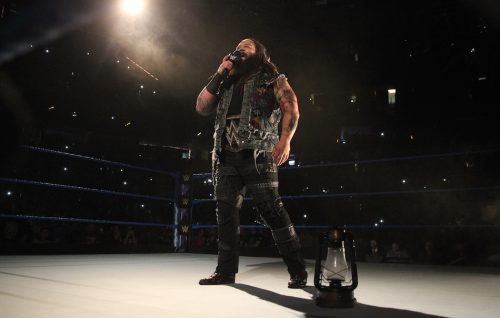 Windham Lawrence Rotunda, cioè Bray Wyatt, è nato nel 1987. Ha conquistato il titolo WWE il 12 febbraio