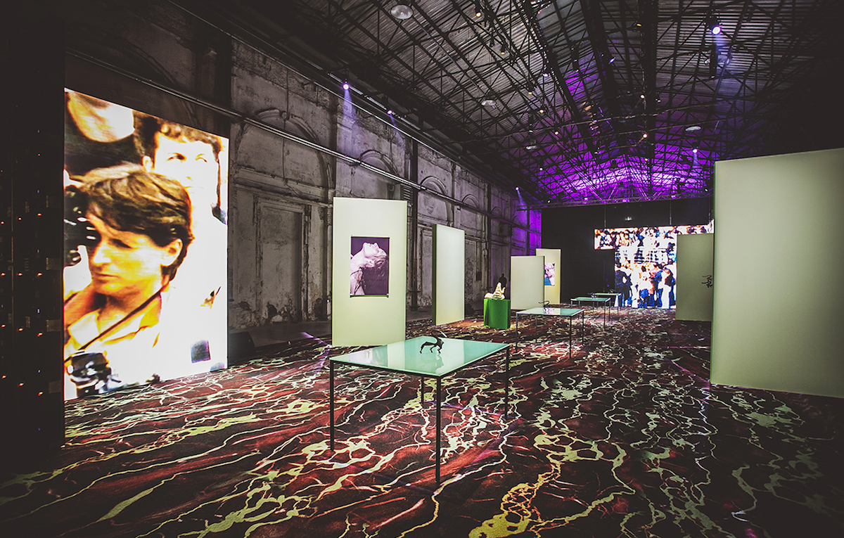 Diadora Pitti Meschina