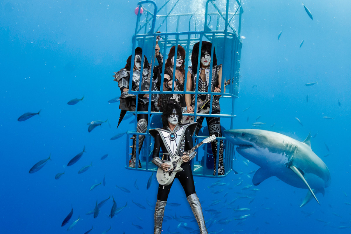 I Kiss suoneranno un concerto per un pubblico di squali bianchi