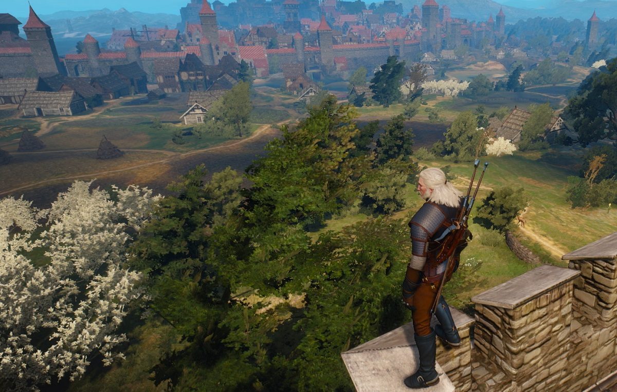 Switch the witcher 3 фото 7