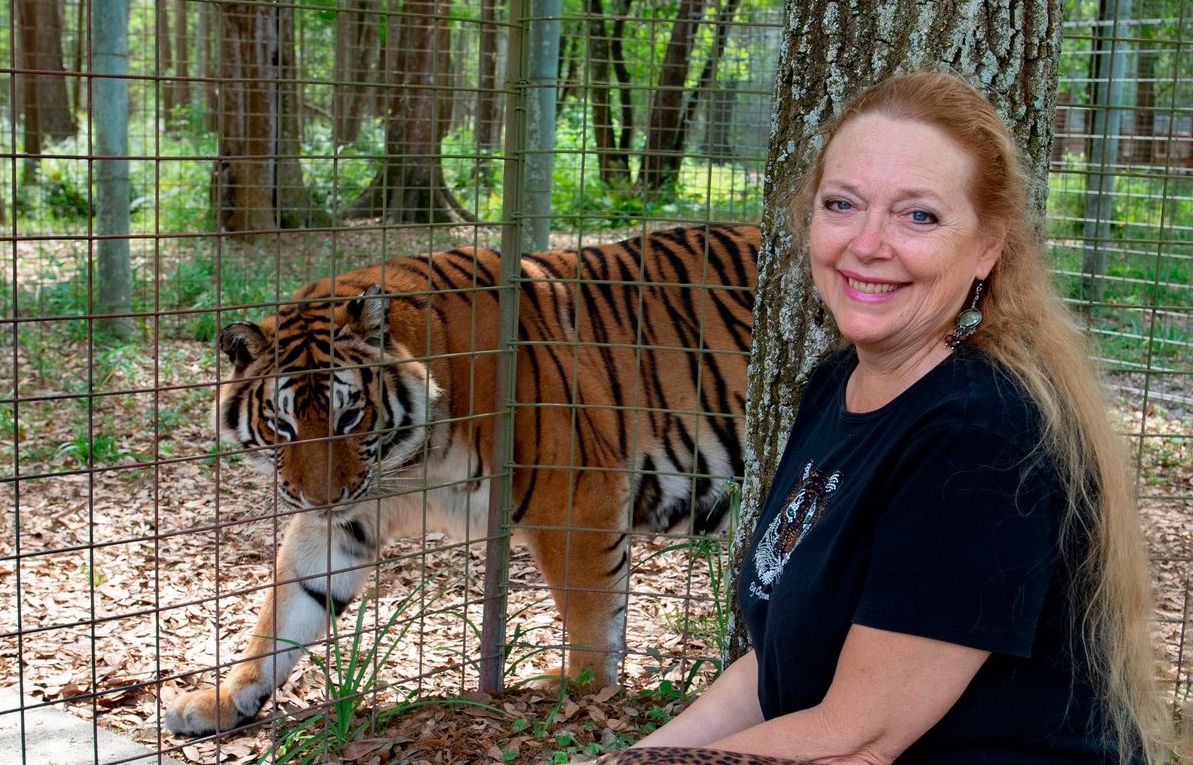 Carole Baskin ha ottenuto il controllo sullo zoo di Joe Exotic