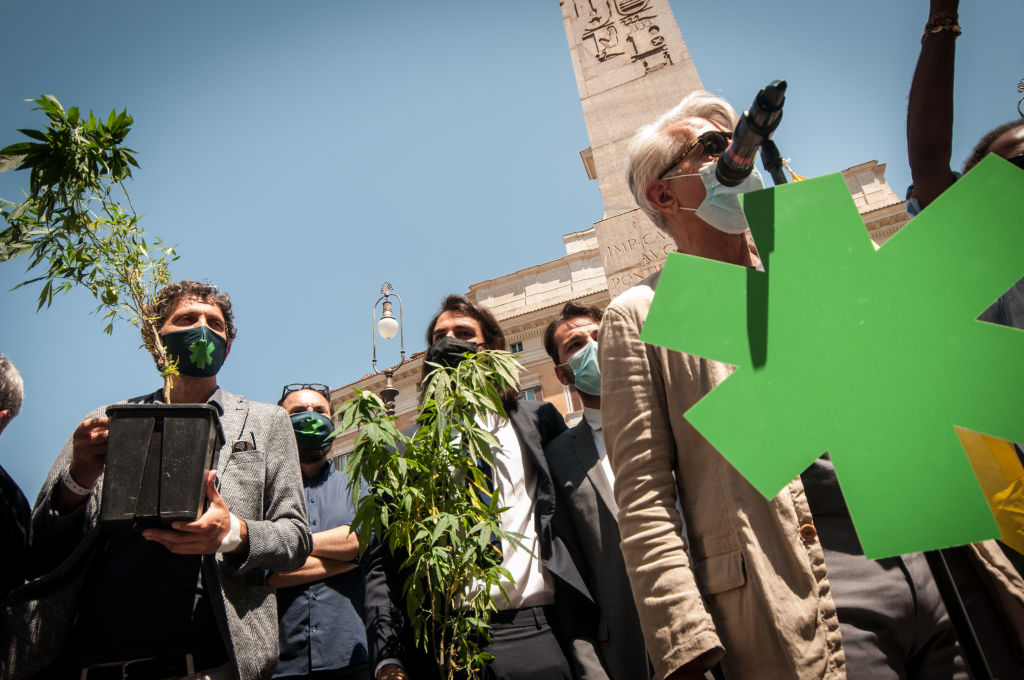 Lega e Fratelli d’Italia hanno cercato di affossare il referendum sulla cannabis legale