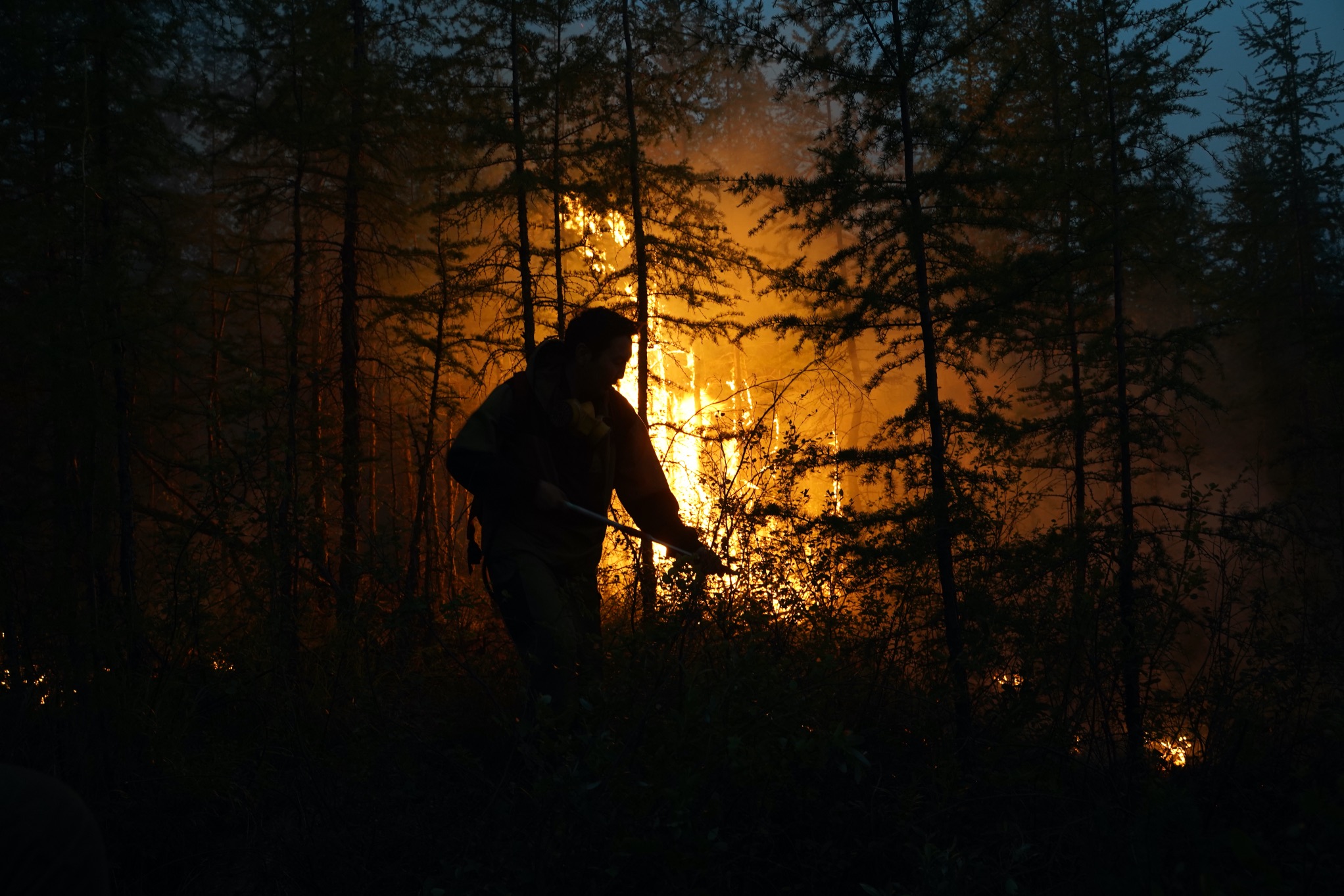 Foto degli incendi che stanno devastando la Siberia