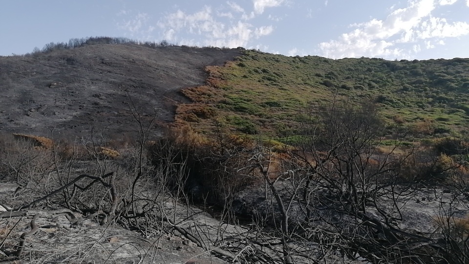 Terra bruciata – viaggio nella Sardegna distrutta dal fuoco