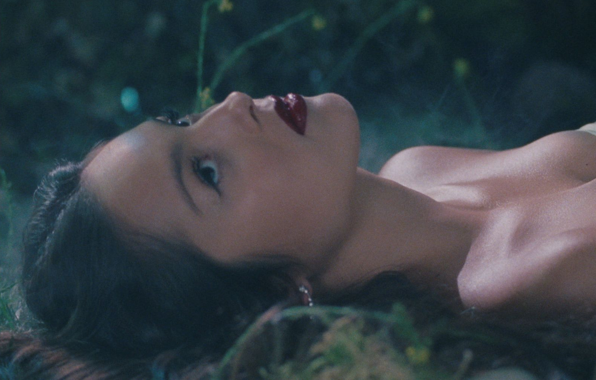 Olivia rodrigo stalker