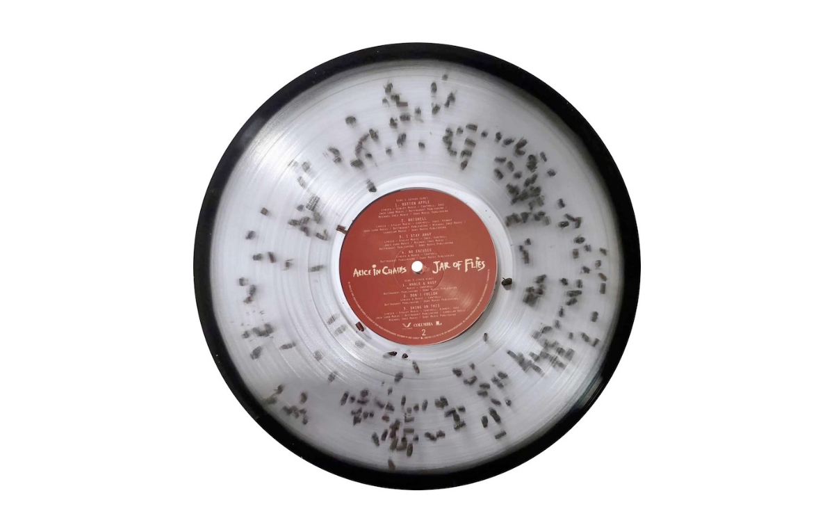 Gli Alice in Chains hanno pubblicato un vinile di ‘Jar of Flies’ contenente veri insetti morti