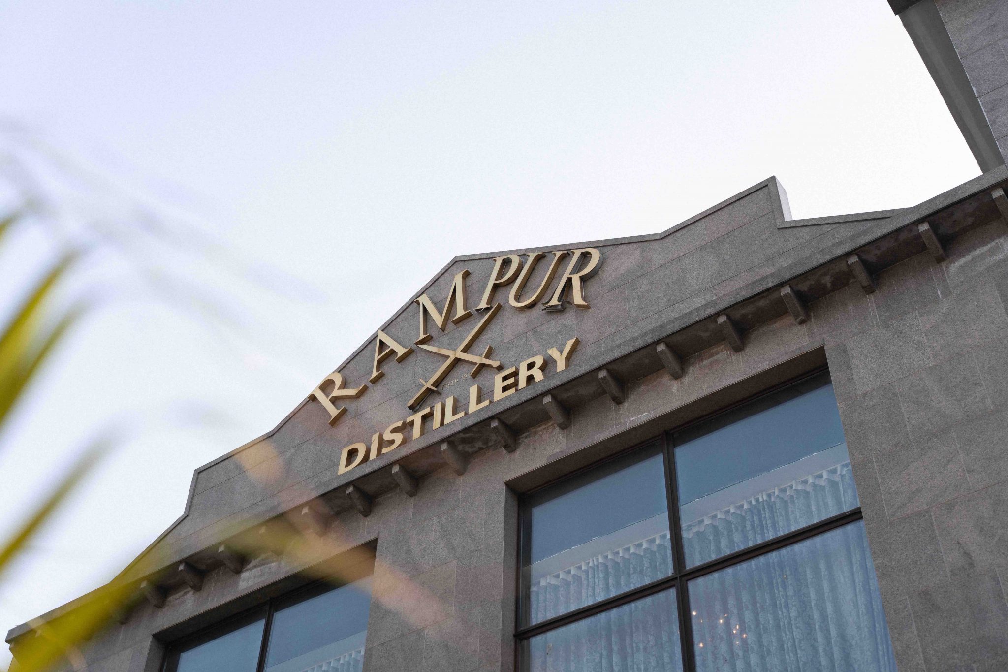 Pearl Jam | Rolling Stone Italia