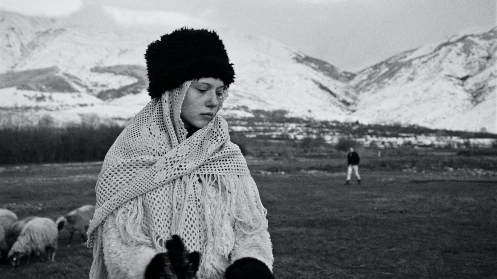 Il cinema italiano (r)esiste, lo dimostrano i cortometraggi dei David di Donatello
