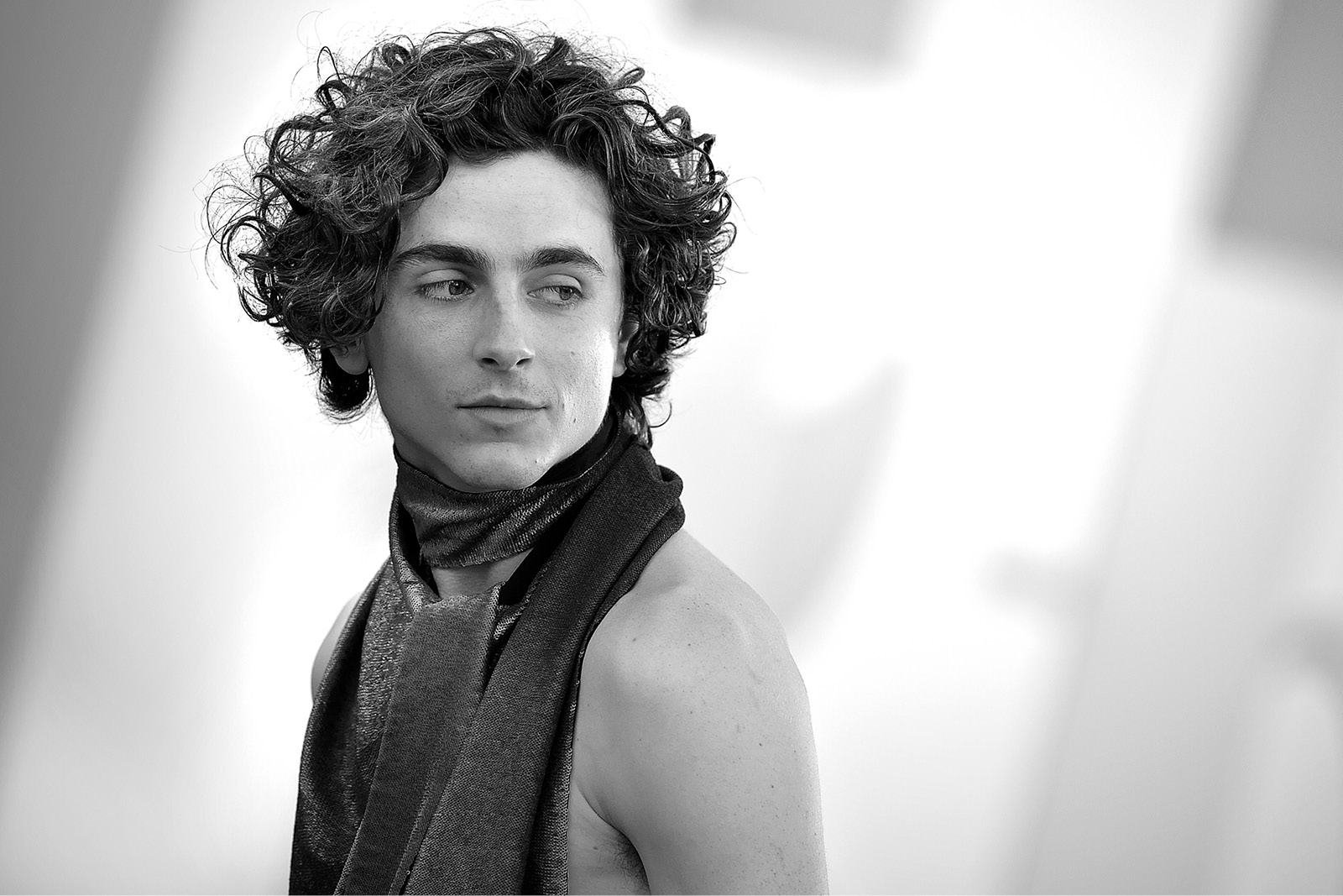 Timothée Chalamet a Venezia