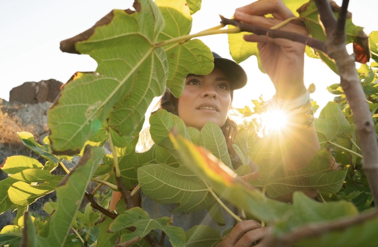 Valeria Margherita Mosca