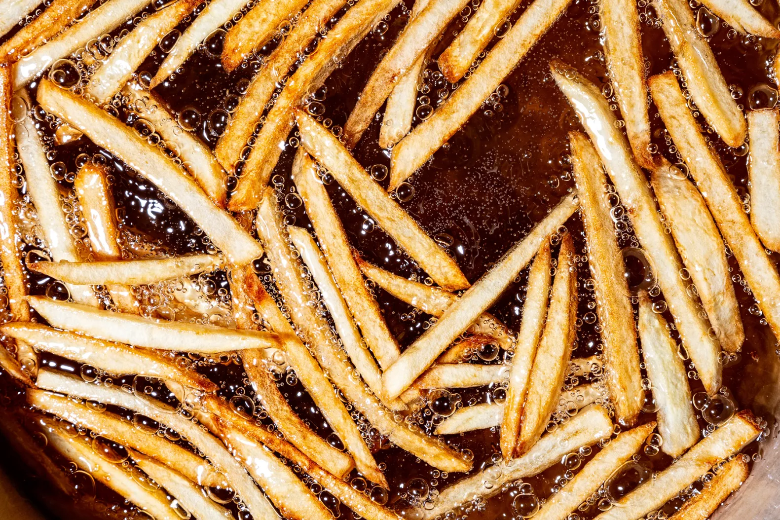 (da USA) sego bovino