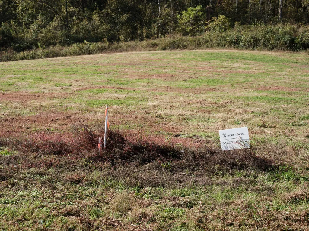 (da USA) RidgeRunner