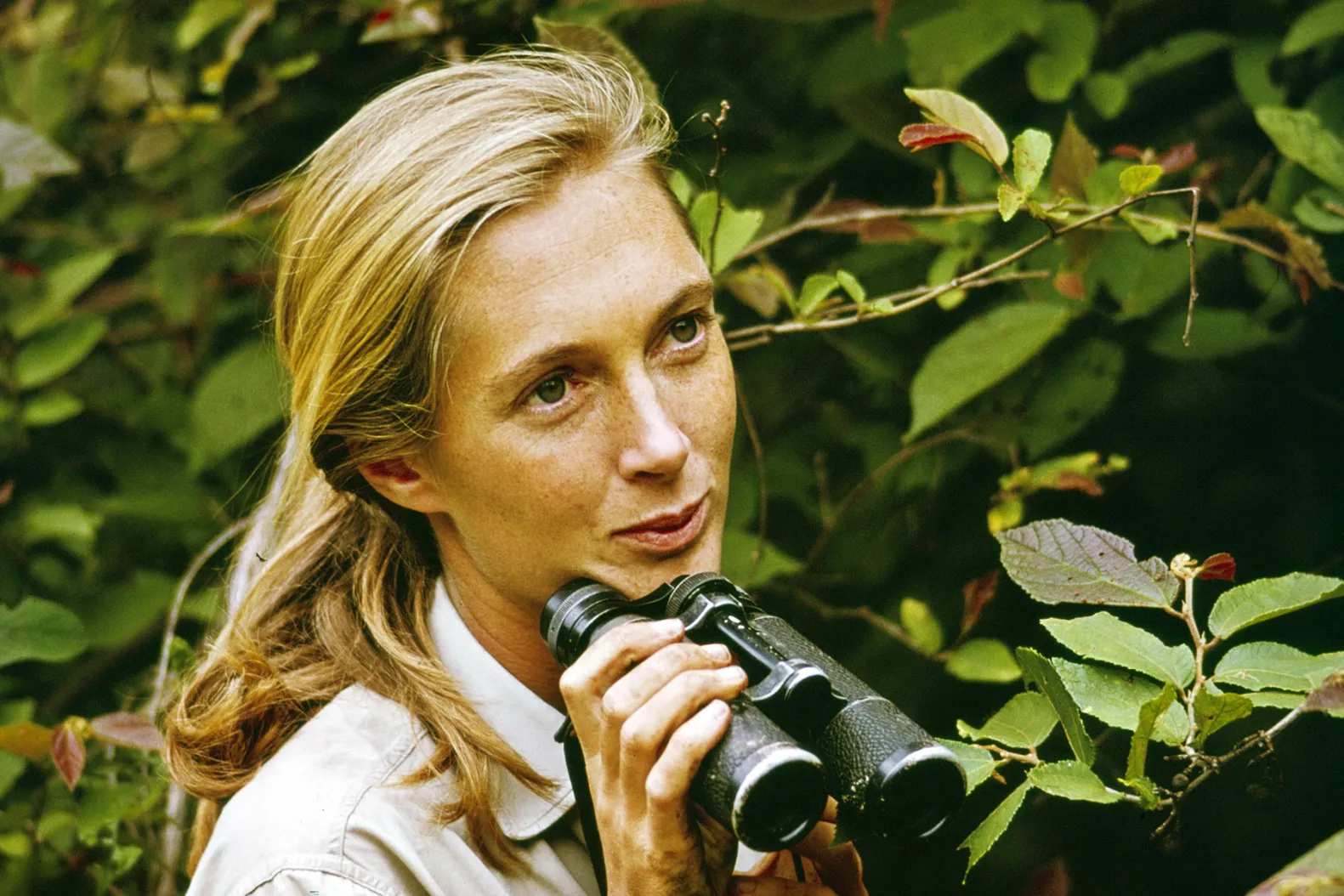 (da USA) Jane Goodall