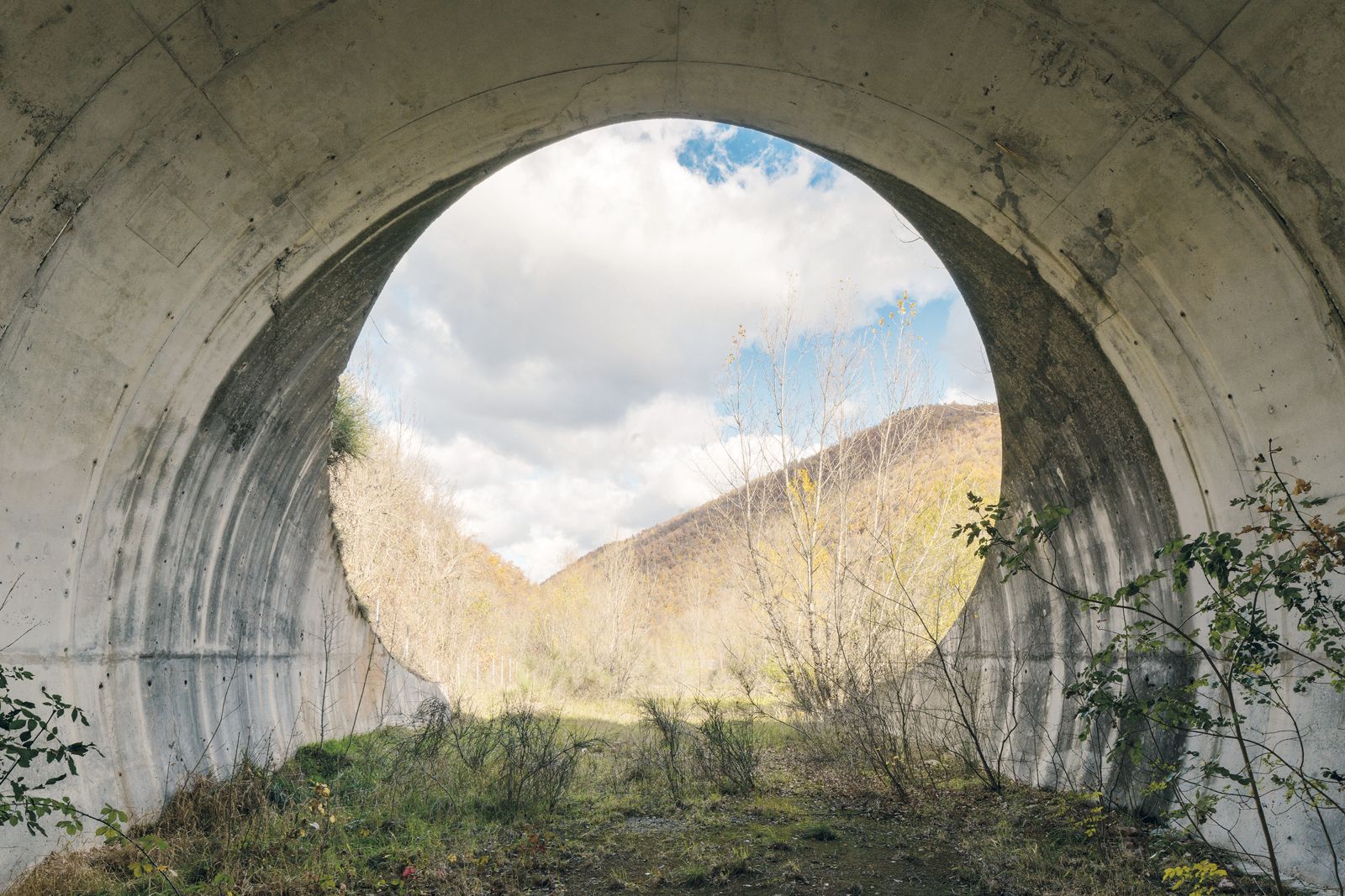 incompiuto humboldt books