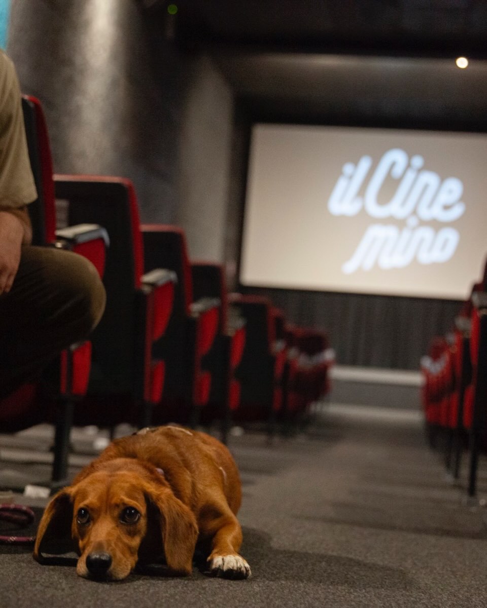 Il Cinemino, a Milano