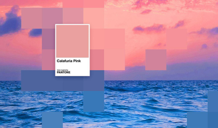 Calafuria Pantone