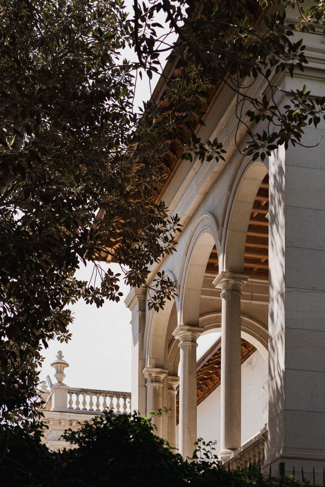 Botanica Festival Sanremo