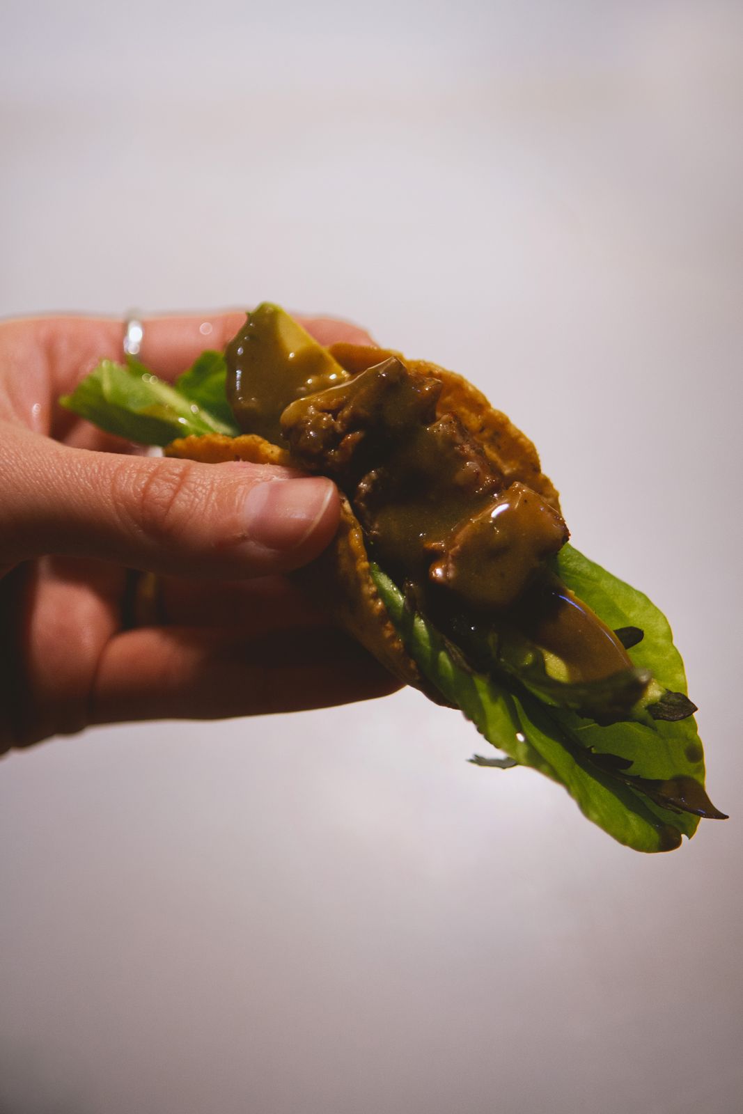 Taco di agnello, Mraz und Sohn