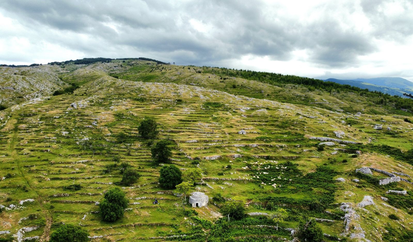 abruzzo pane