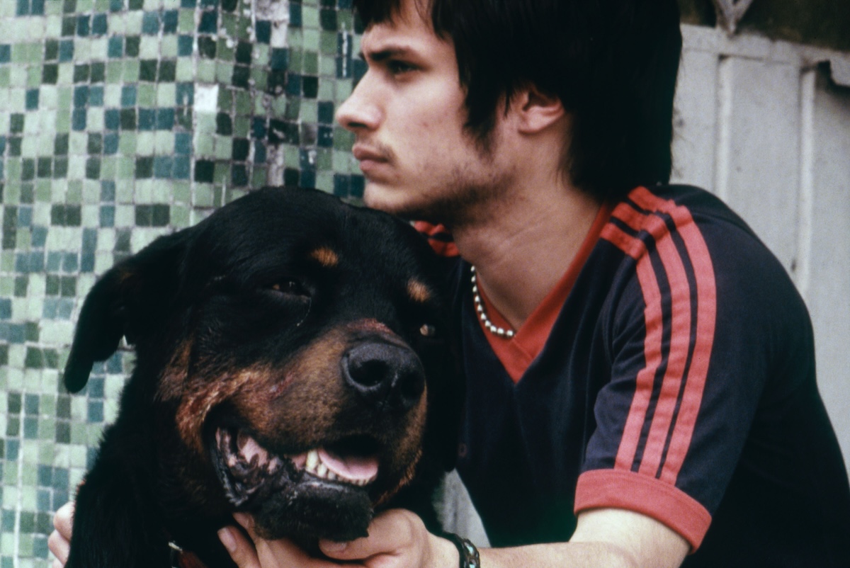 ‘Amores perros’, 26 anni dopo: «Questi cani abbaiano ancora fortissimo»
