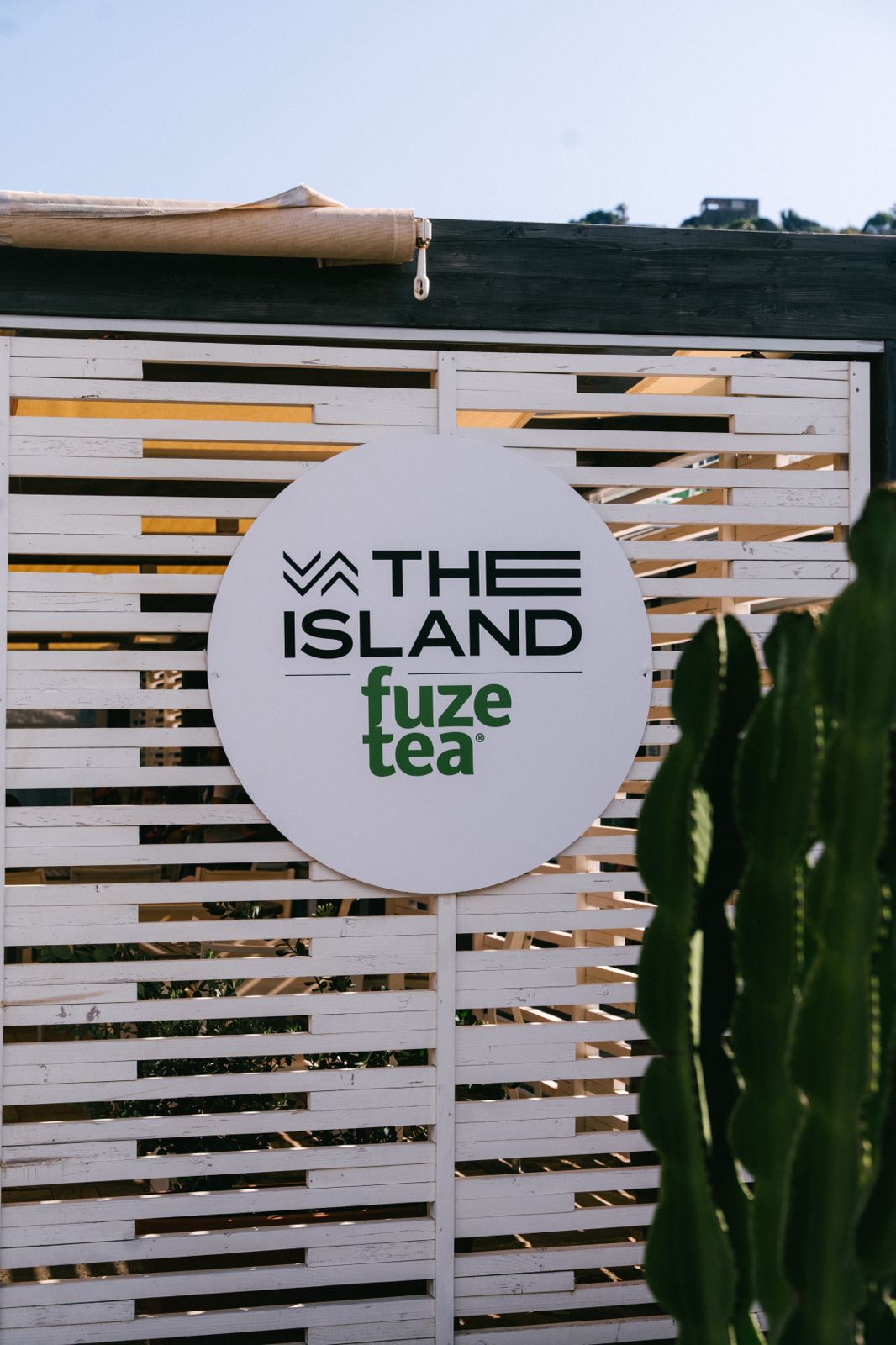 the island fuze tea