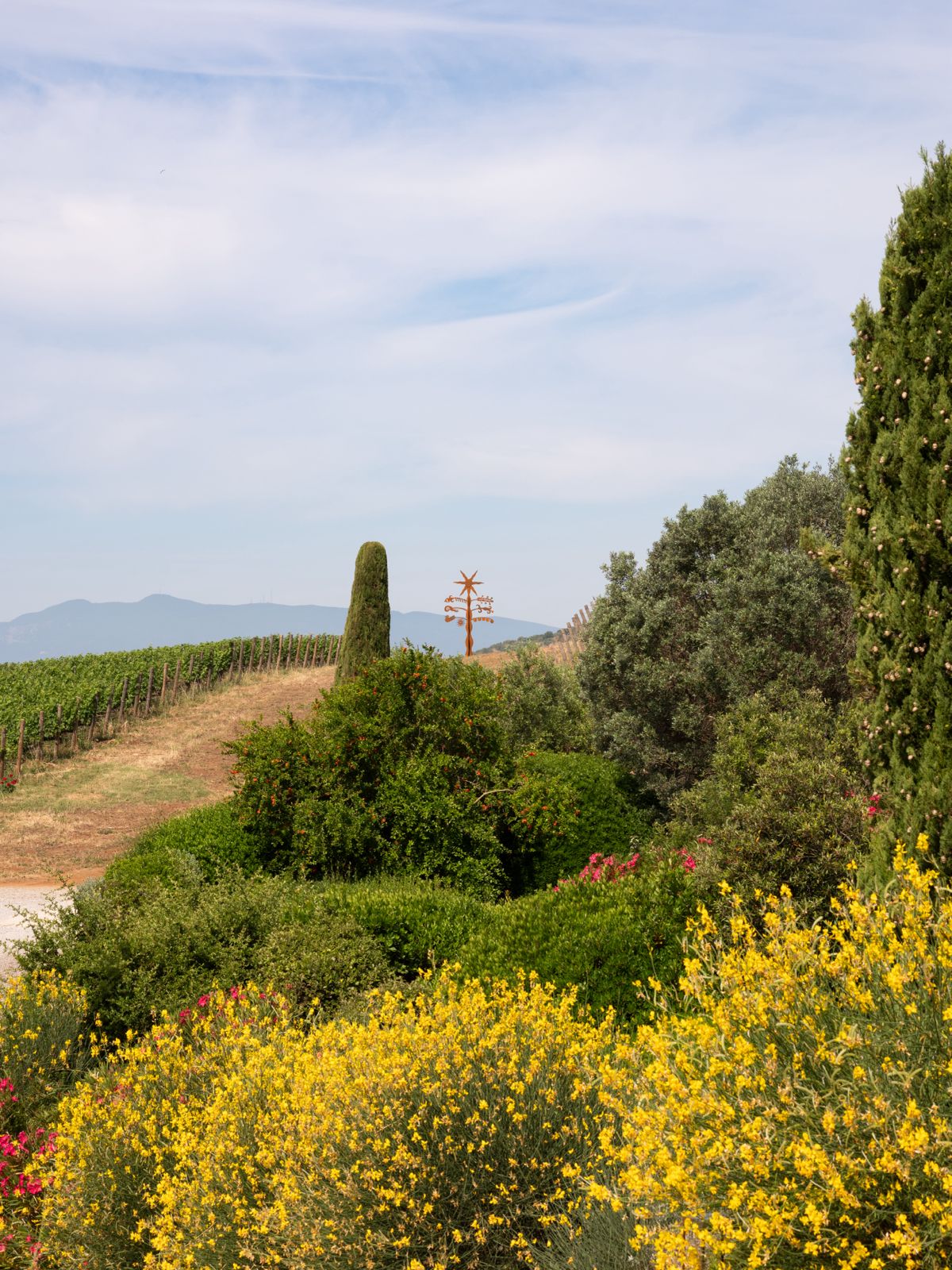 hypermaremma