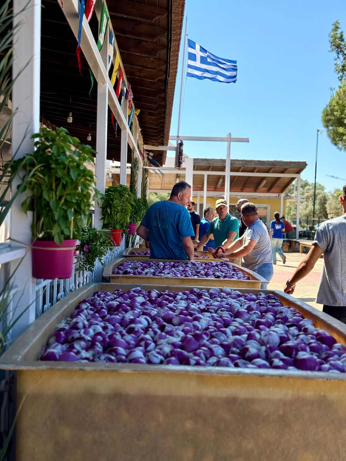 Grecia Spata