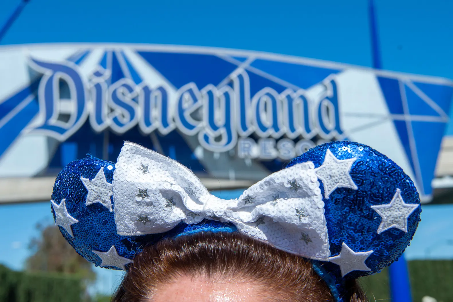 (DA USA) disney adult