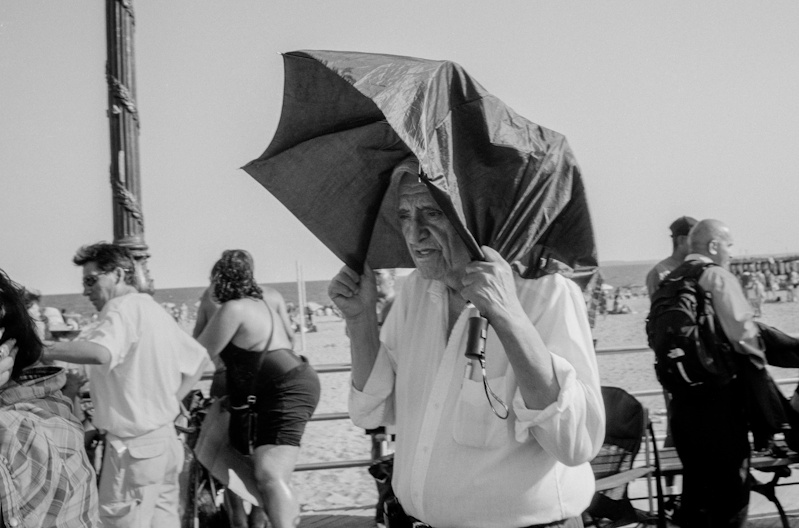 Matilde Damele
